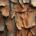 Natural Tree Bark Mural Wallpaper — Rustic Earth Tones Mural Wallpaper - room preview 04