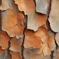 Natural Pine Bark Macro Mural Wallpaper in Earthy Tones Mural Wallpaper - room preview 04