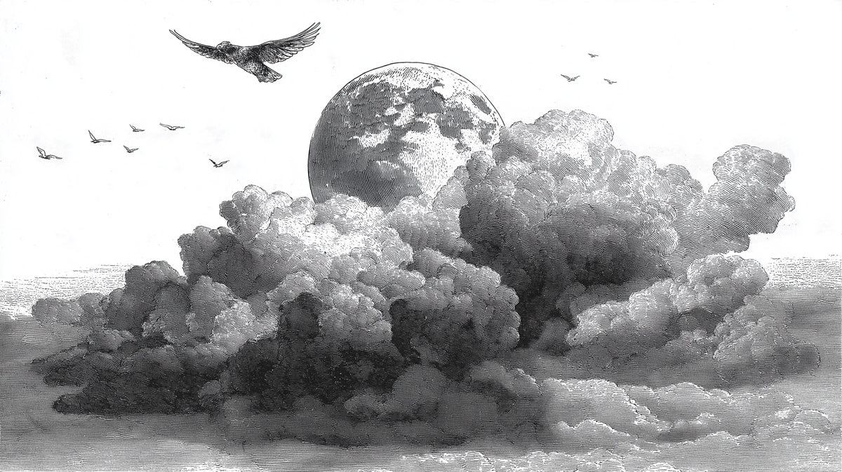 Lunar Clouds Etching Mural Wallpaper — Black and White Art Mural Wallpaper - room preview 04