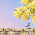 Mimosa Blossom and Garden Bird Mural Wallpaper - room preview 04