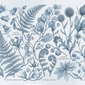 Botanical Study Mural Wallpaper in Classic Monochrome Blue Mural Wallpaper - room preview 04