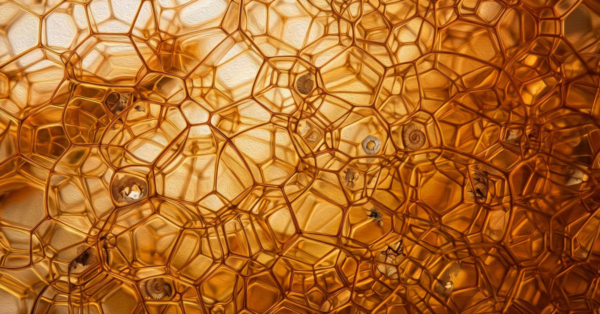 Amber Cell Geometry Mural Wallpaper — Organic Abstract Design Mural Wallpaper - room preview 04