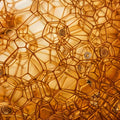 Amber Cell Geometry Mural Wallpaper — Organic Abstract Design Mural Wallpaper - room preview 04