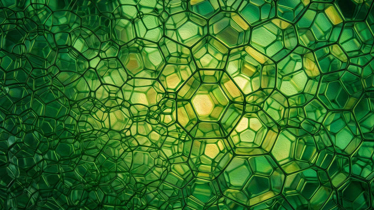 Emerald Cellular Grid Mural Wallpaper — Abstract Geometric Mural Wallpaper - room preview 04