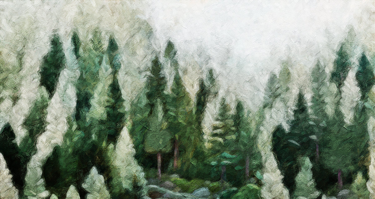 Misty Pine Forest Oil Painting Mural Wallpaper - room preview 04