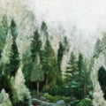 Misty Pine Forest Oil Painting Mural Wallpaper - room preview 04