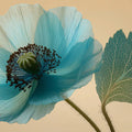 Cyan Poppy Botanical Mural Wallpaper — Soft Macro Floral Art Mural Wallpaper - room preview 04