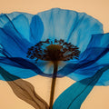 Ethereal Blue Poppy Macro Mural Wallpaper — Modern Botanical Art Mural Wallpaper - room preview 04