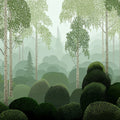 Mist-Covered Birch Forest Mural Wallpaper in Sage Green Mural Wallpaper - room preview 04