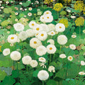 Meadow Bloom Mural Wallpaper — Botanical Art in Green and White Mural Wallpaper - room preview 04