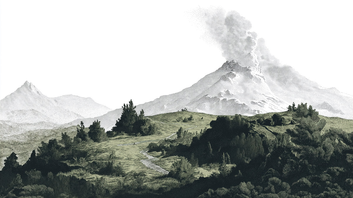 Volcanic Landscape Mural Wallpaper in Etched Style Mural Wallpaper - room preview 04
