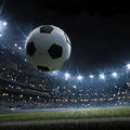 Championship Stadium Soccer Mural Wallpaper — High-Octane Sports Decor Mural Wallpaper - room preview 04