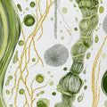 Abstract Organic Botanical Mural Wallpaper in Verdant Green Mural Wallpaper - room preview 04