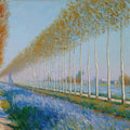Autumn Poplar Lane Impressionist Mural Wallpaper - room preview 04