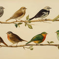 Vintage Ornithology Mural Wallpaper — Scientific Bird Study Mural Wallpaper - room preview 04