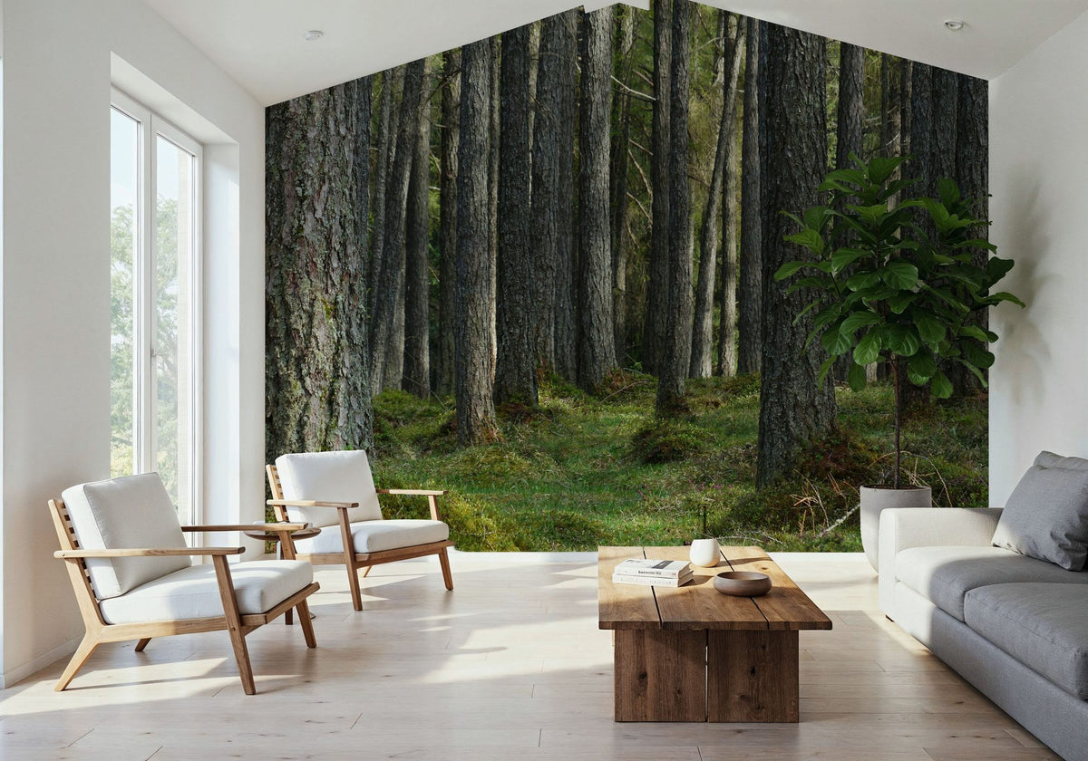 Pine Forest Mural Wallpaper - room preview 04
