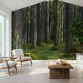 Pine Forest Mural Wallpaper - room preview 04