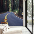 Redwood Journey Mural Wallpaper - room preview 04
