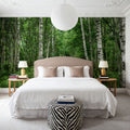 Dark Birch Forest Mural Wallpaper - room preview 04