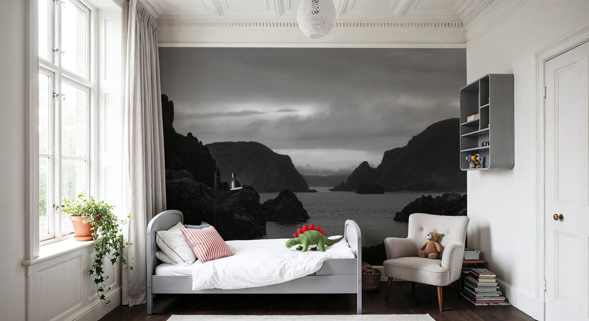 Twillingate Coast BW Mural Wallpaper - room preview 04