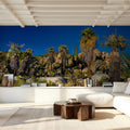 Baja Palms Mural Wallpaper - room preview 04