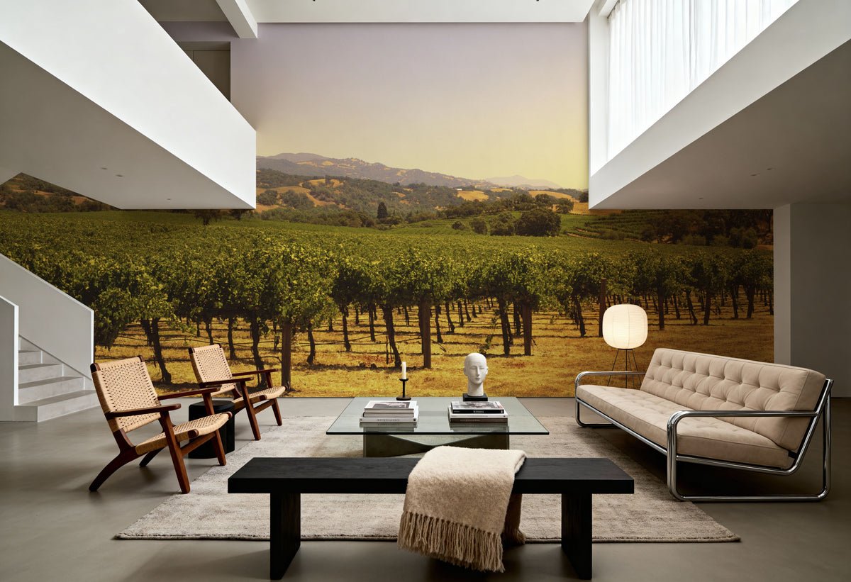 Golden Vineyard Vista Mural Wallpaper - room preview 04
