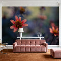 Peach Dahlias Mural Wallpaper - room preview 04