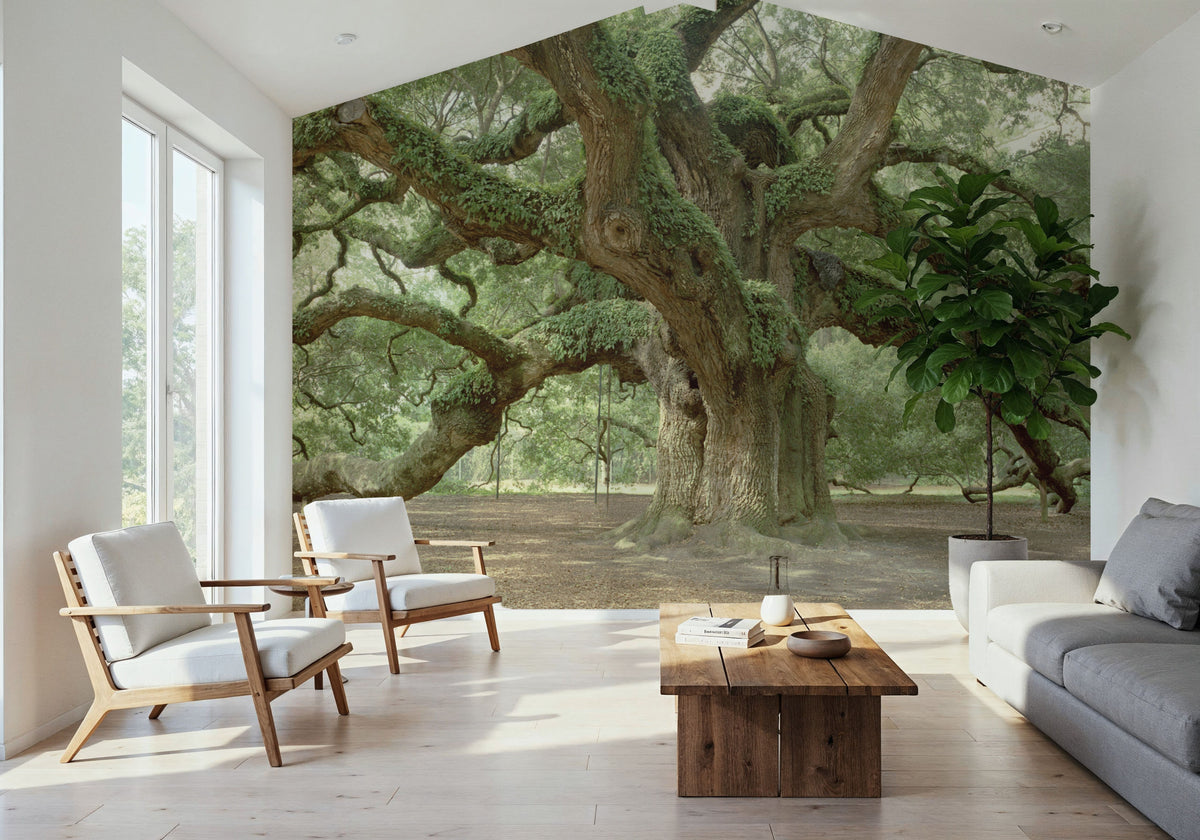 Angel Oak Tree Mural Wallpaper - room preview 04