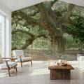 Angel Oak Tree Mural Wallpaper - room preview 04