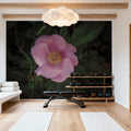 Wild Rose VII Mural Wallpaper - room preview 04