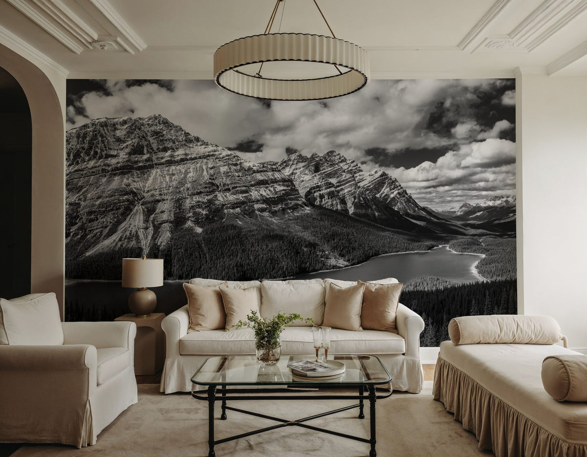 Peyto Lake BW Mural Wallpaper - room preview 04
