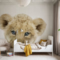 Peekaboo Baby Lion Mural Wallpaper - room preview 04