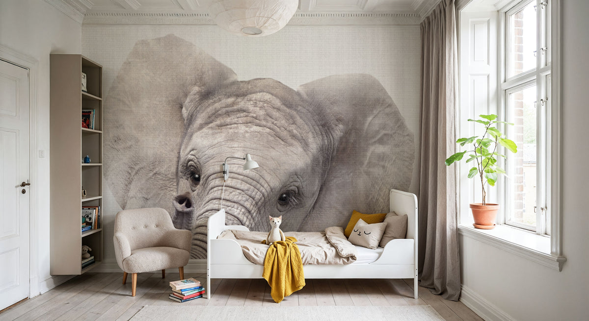 Peekaboo Baby Elephant Mural Wallpaper - room preview 04