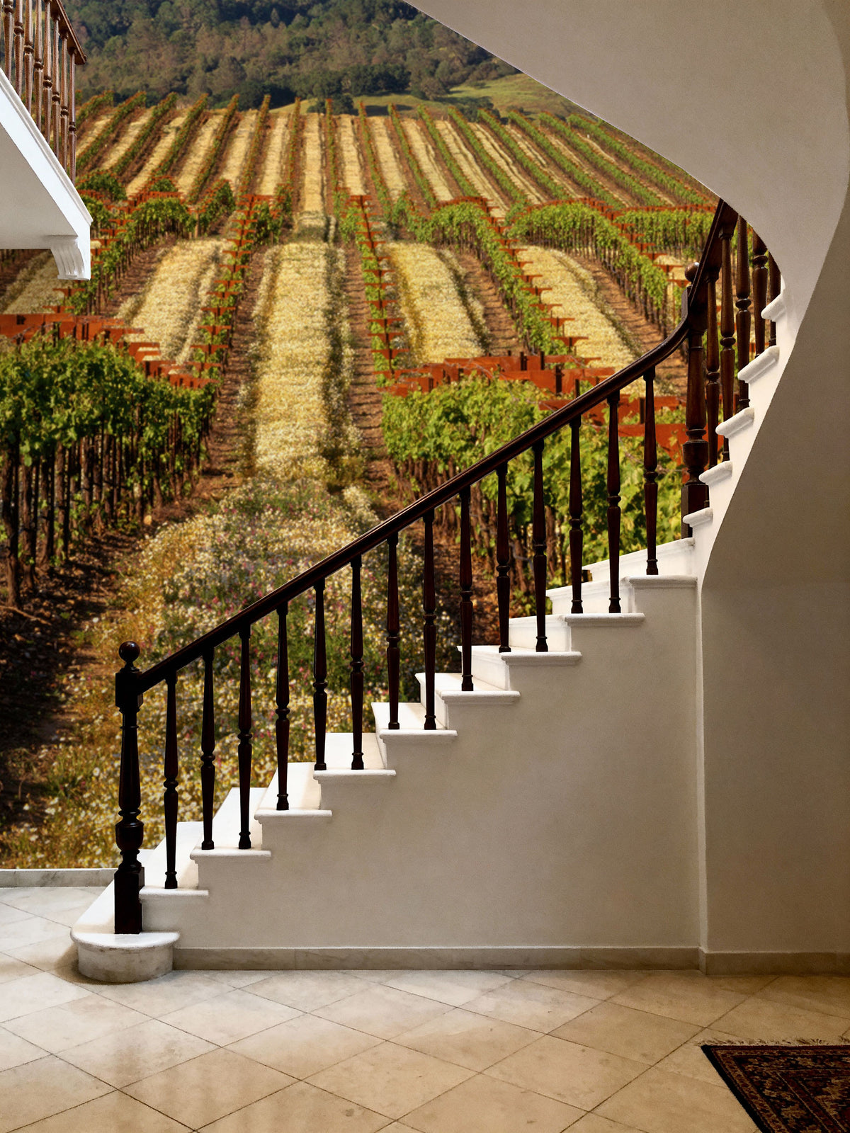 Vineyard Dreams Mural Wallpaper - room preview 04