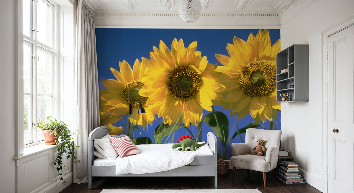 Sunflower Sky Mural Wallpaper - room preview 04
