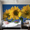 Sunflower Sky Mural Wallpaper - room preview 04