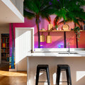 Miami Palm Sunset Mural Wallpaper - room preview 04