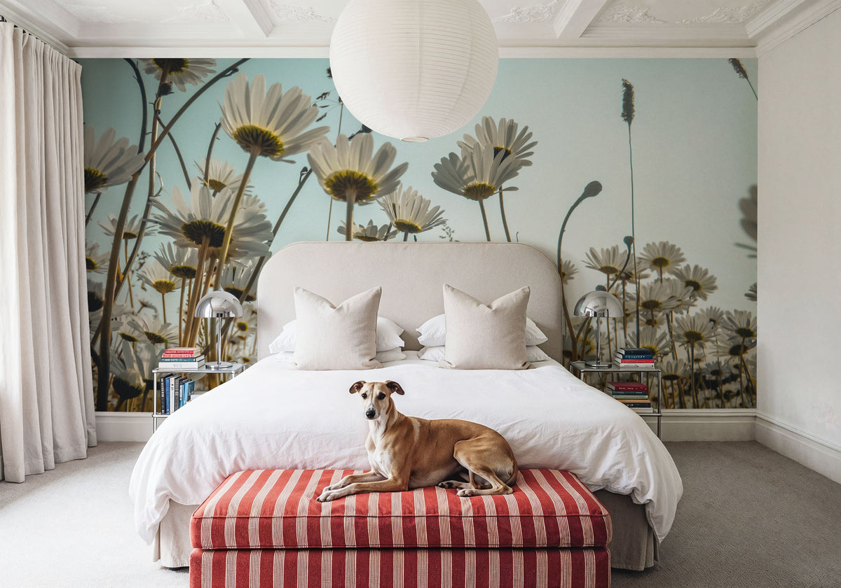 Summer Meadow Daisies Mural Wallpaper - room preview 04