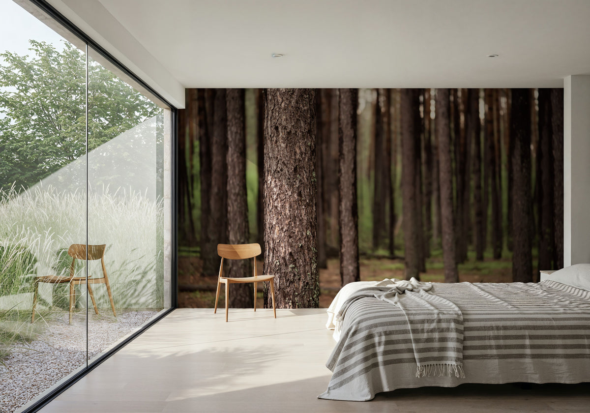 Dark Pine Forest Mural Wallpaper - room preview 04