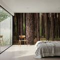 Dark Pine Forest Mural Wallpaper - room preview 04