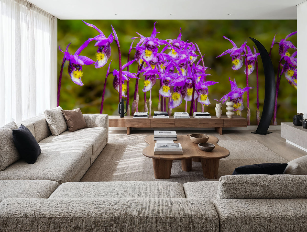 Calypso Bulbosa Bloom Mural Wallpaper - room preview 04