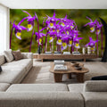 Calypso Bulbosa Bloom Mural Wallpaper - room preview 04