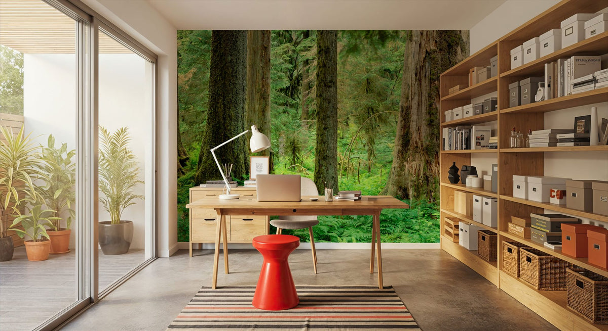 Hoh Rainforest Mural Wallpaper - room preview 04