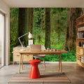 Hoh Rainforest Mural Wallpaper - room preview 04