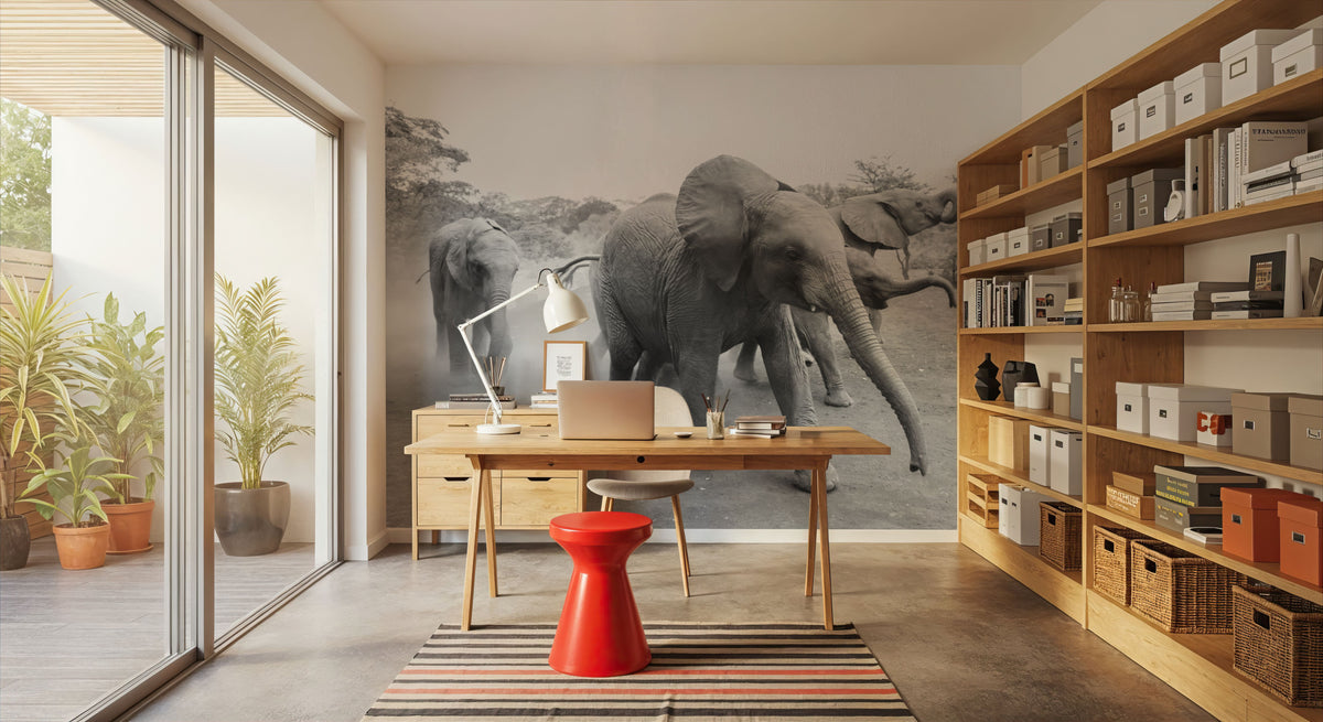Elephant Race BW Mural Wallpaper - room preview 04