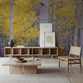 Golden Birch Forest Mural Wallpaper - room preview 04