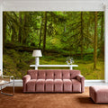 Ancient Groves Mural Wallpaper - room preview 04