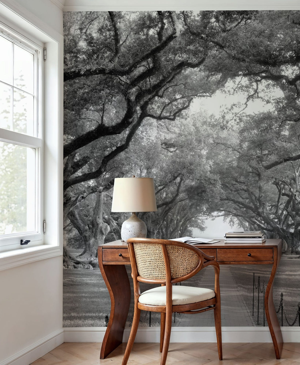 Timeless Oak Alley Mural Wallpaper - room preview 04