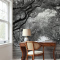 Timeless Oak Alley Mural Wallpaper - room preview 04