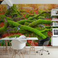 Pyrenees Moss II Mural Wallpaper - room preview 04